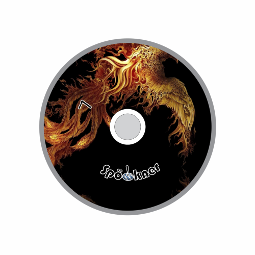 Spöckner "Feuervogel / gold schwarz" Eisstock